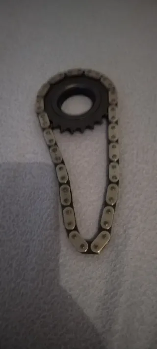 Cadena y piñón bomba aceite Renault