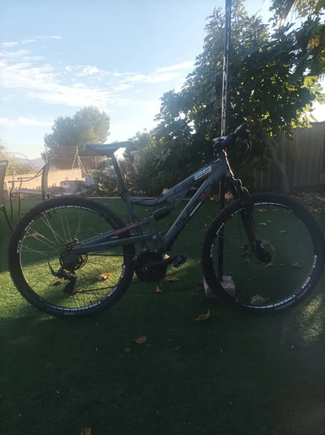 Bicicleta Mulberry 29