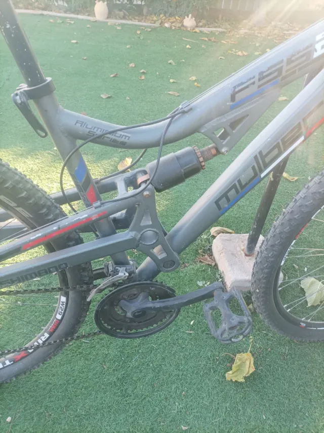 Bicicleta Mulberry 29