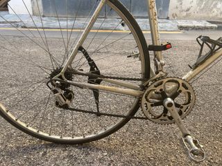 Bicicleta Clásica Fixie/Paseo