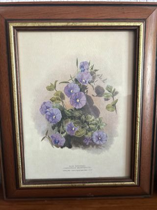 4 Quadri Classici Floreali in Legno