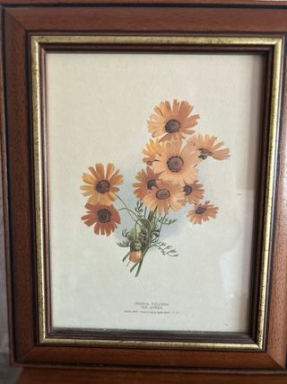 4 Quadri Classici Floreali in Legno