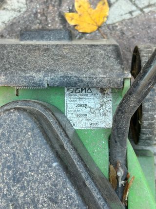 Tosaerba elettrico papillon senza sacco raccogli