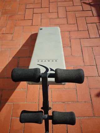 Banco abdominales Domyos PA 250