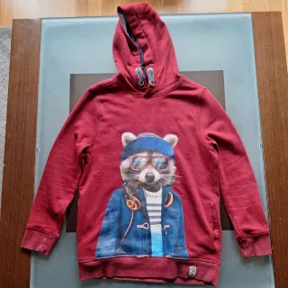 Sudadera niño T.146-152 con capucha