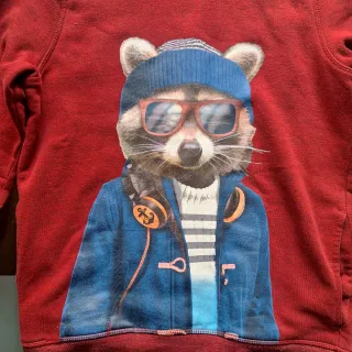 Sudadera niño T.146-152 con capucha