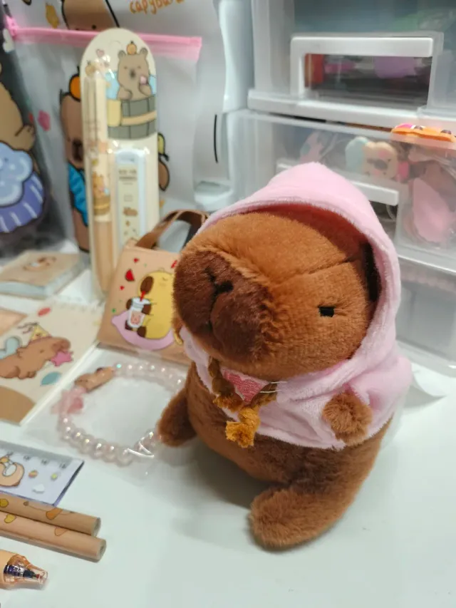 Set Papelería Capibara Kawaii