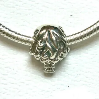 Charm Hermione Harry Potter