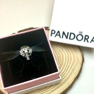 Charm Hermione Harry Potter