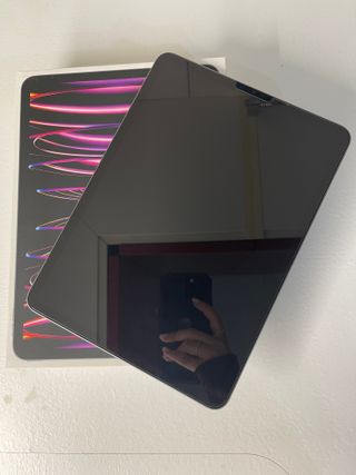 iPad Pro 11 4a Gen 256GB + Apple Pencil 2a Gen