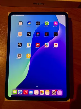 iPad Pro 11 M4 256GB