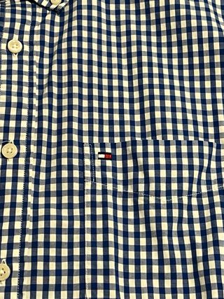 Camisa Tommy Hilfiger Cuadros Azul