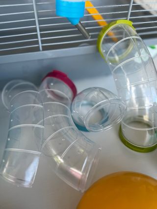 Jaula Hámster Ruso con Accesorios