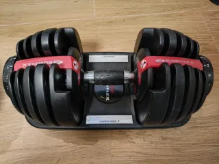 Mancuernas Ajustables Bowflex x2