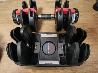 Mancuernas Ajustables Bowflex x2