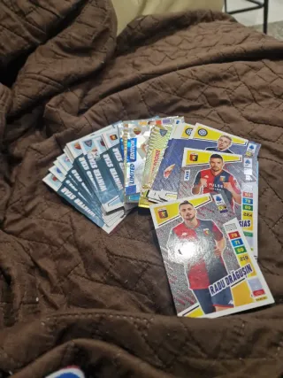 Figurine Adrenalyn 2023 - Rare