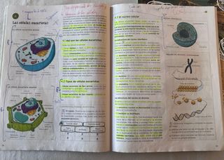 Biología y Geología 4