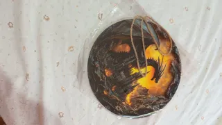 Cartello rotondo Fantasy Drago 2D 20cm