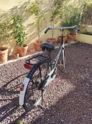 Bicicleta Holandesa BSP Negra