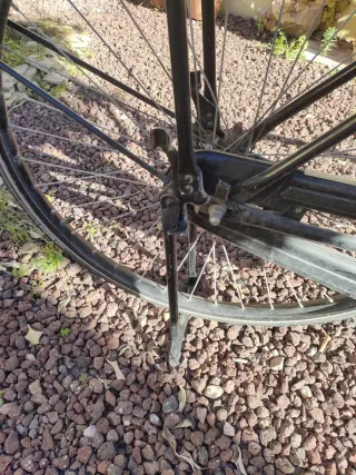 Bicicleta Holandesa BSP Negra