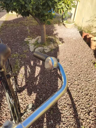 Bicicleta Holandesa BSP Negra