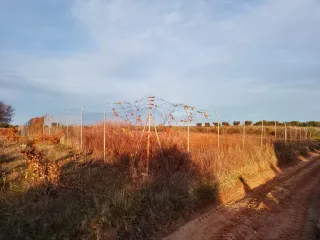 Terreno rústico con valla 1250m cuadrados.