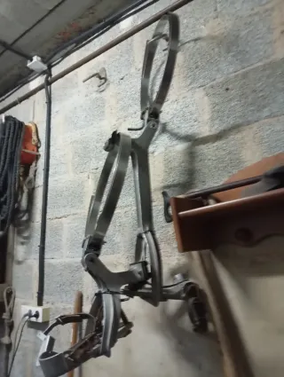 Bicicleta poda palmeras