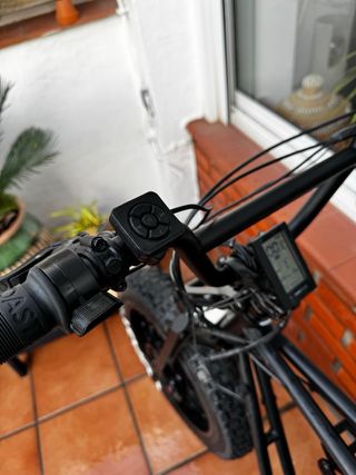 Fat Bike Coast Cycles Buzzraw Pro 750W