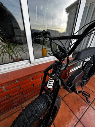 Fat Bike Coast Cycles Buzzraw Pro 750W