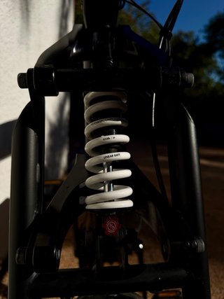Fat Bike eléctrica Coast Cycles Buzzraw Pro 750W