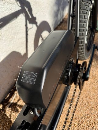 Fat Bike eléctrica Coast Cycles Buzzraw Pro 750W