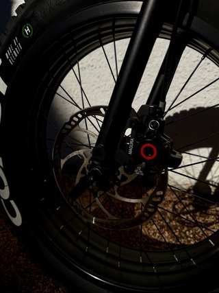 Fat Bike eléctrica Coast Cycles Buzzraw Pro 750W