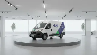 Alquiler de Furgoneta Grande