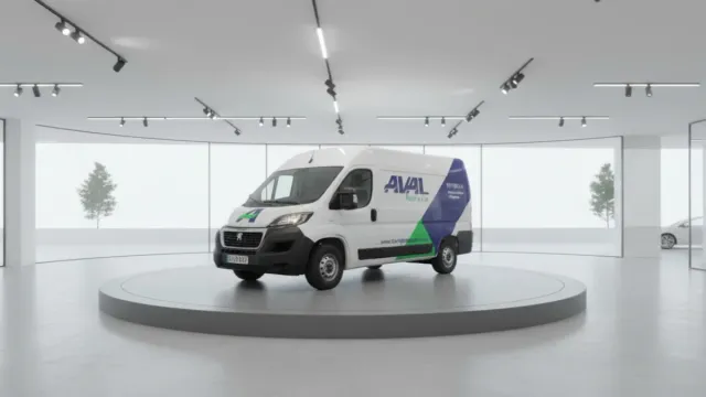 Alquiler de Furgoneta Grande