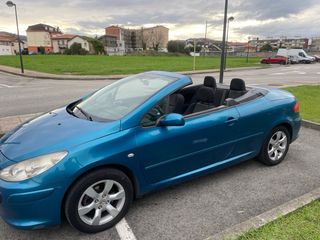 Peugeot 307 2006