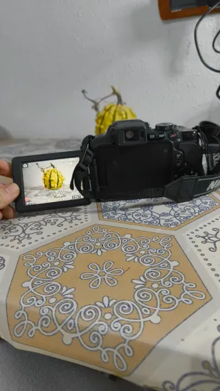 Cámara Nikon COOLPIX P610