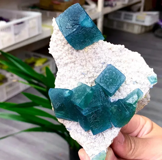 Fluorite cubica Yaogangxian Cina