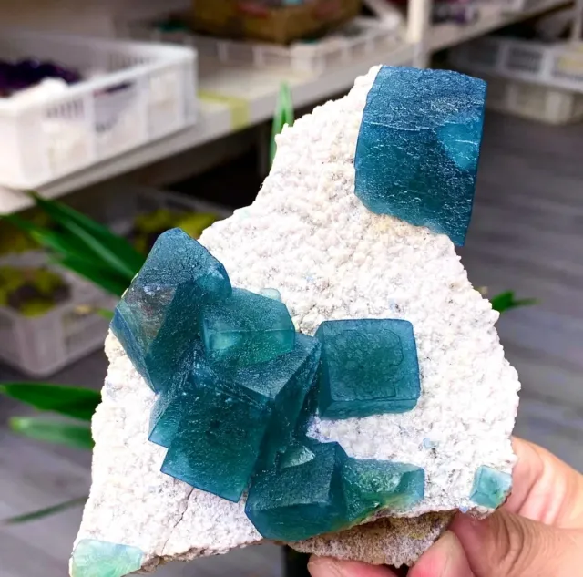 Fluorite cubica Yaogangxian Cina