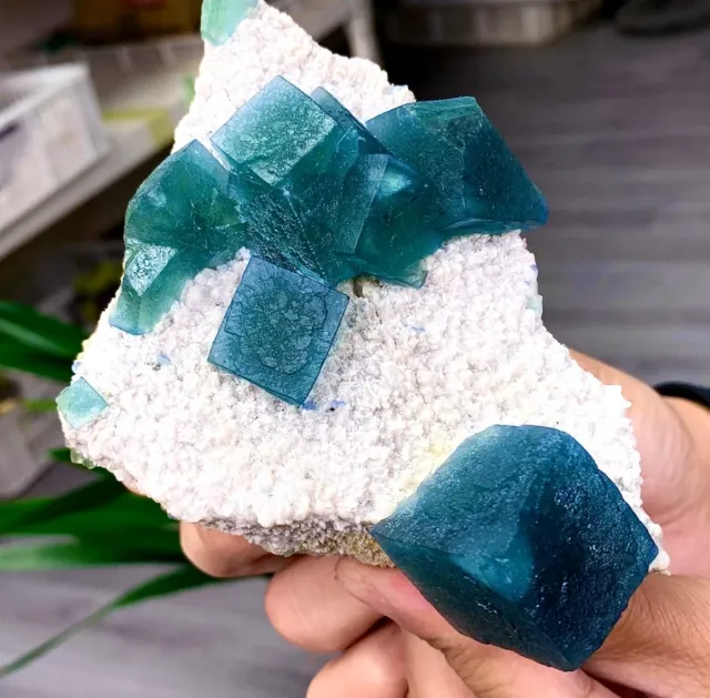 Fluorite cubica Yaogangxian Cina
