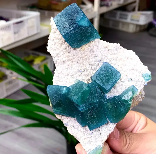 Fluorite cubica Yaogangxian Cina