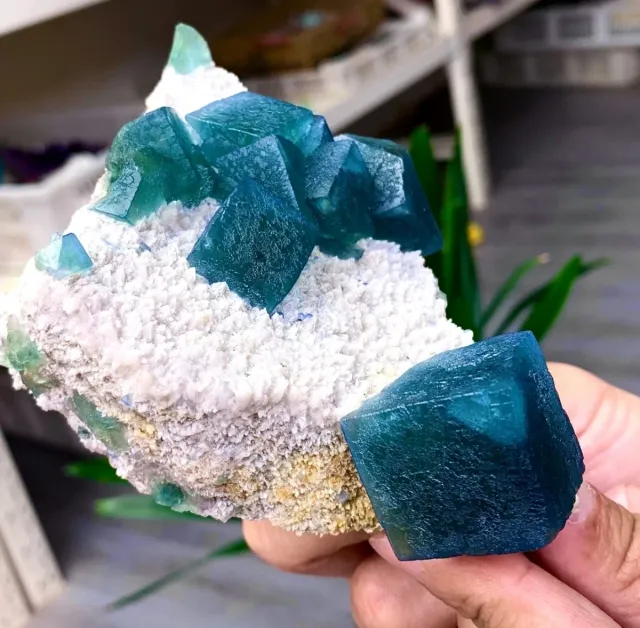 Fluorite cubica Yaogangxian Cina