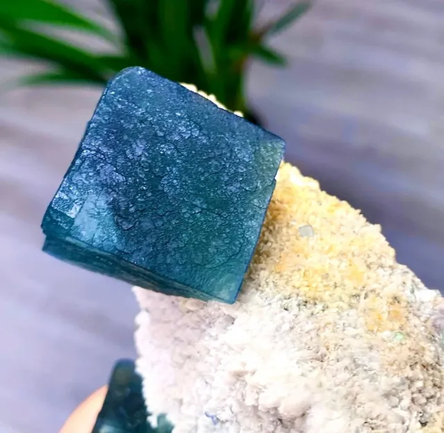 Fluorite cubica Yaogangxian Cina