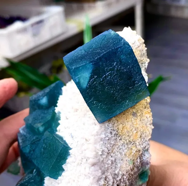 Fluorite cubica Yaogangxian Cina