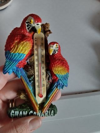 Magnet Gran Canaria con termometro