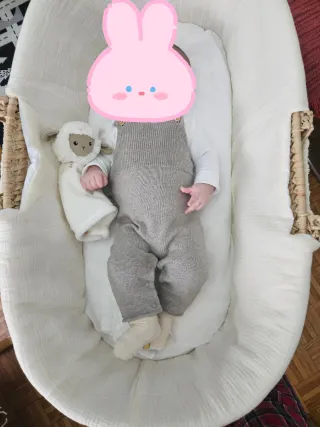 Funda para Cesta Moisés