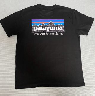 Camiseta Patagonia