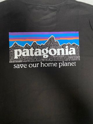 Camiseta Patagonia