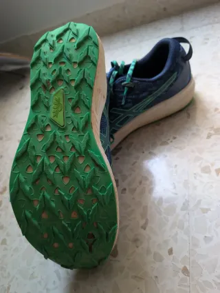 Zapatillas Asics Fuji Lyte Trail Running