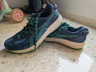 Zapatillas Asics Fuji Lyte Trail Running