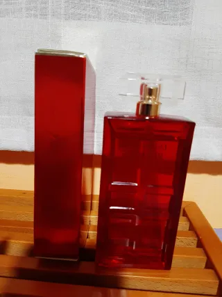 Elizabeth Arden Red Door Colonia 100ml